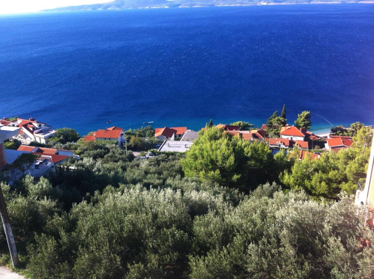 Blue Adria,Pisak Kroatien Bagian luar foto