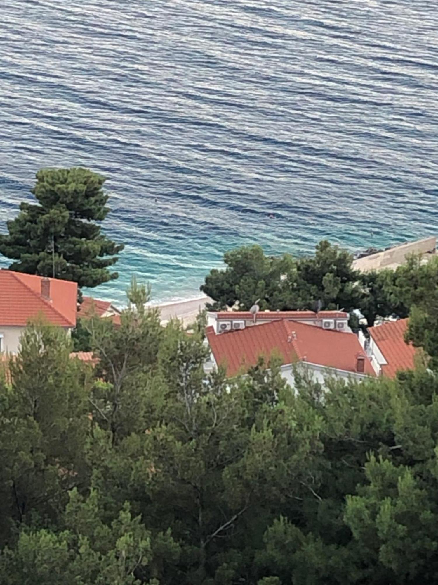 Blue Adria,Pisak Kroatien Bagian luar foto